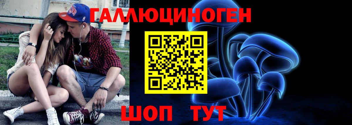 Псилоцибиновые грибы GOLDEN TEACHER Ахтубинск